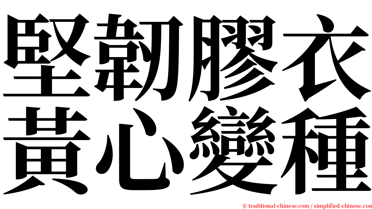 堅韌膠衣黃心變種 serif font