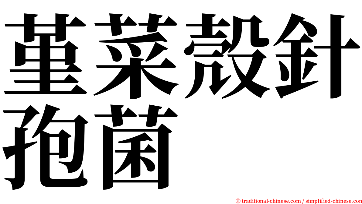 堇菜殼針孢菌 serif font