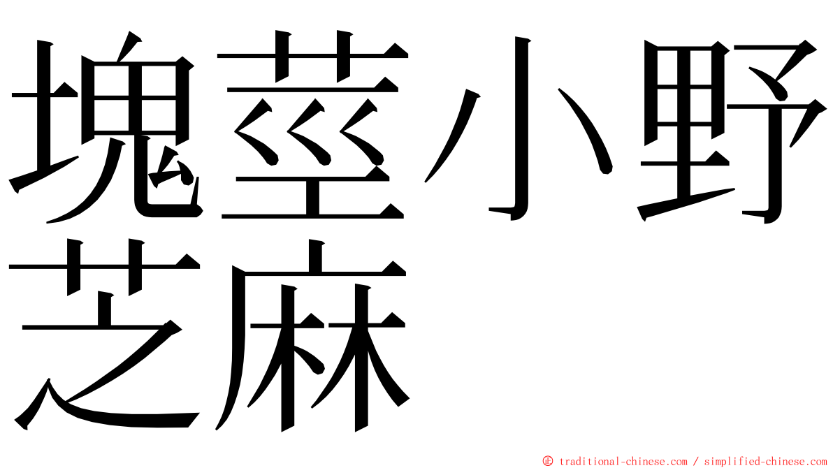 塊莖小野芝麻 ming font