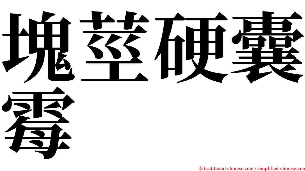 塊莖硬囊霉 serif font