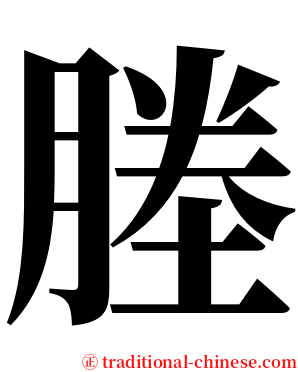 塍 serif font