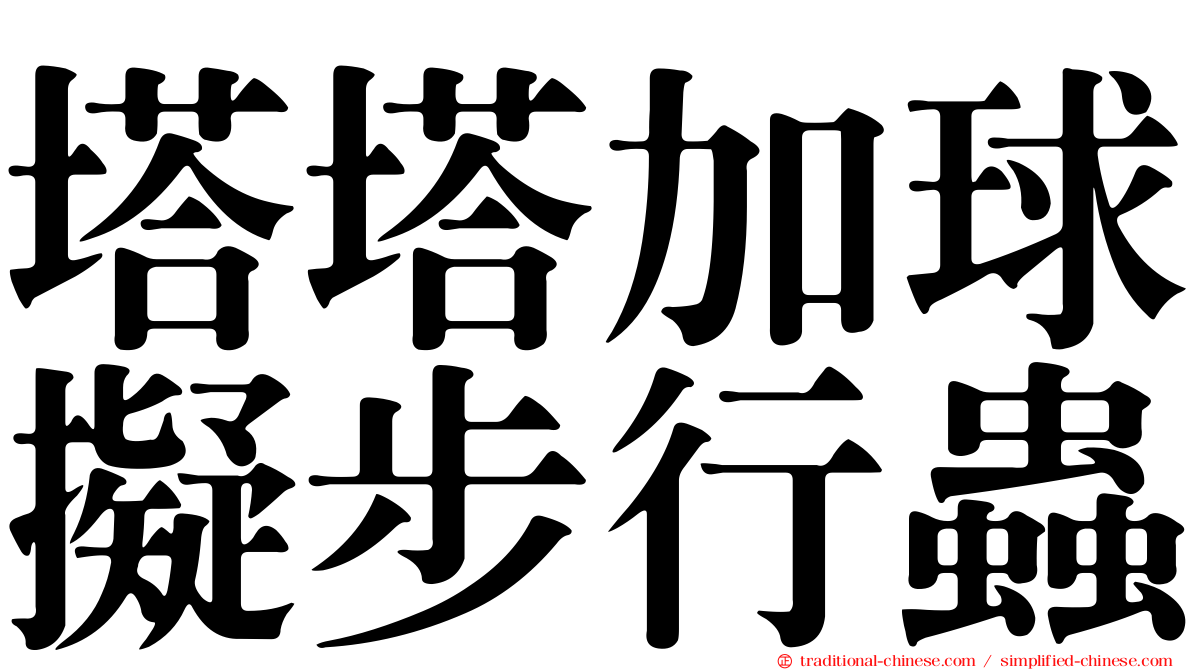 塔塔加球擬步行蟲