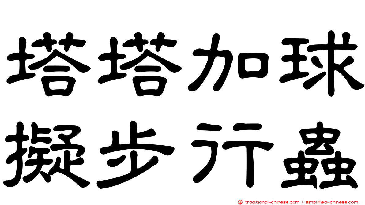 塔塔加球擬步行蟲