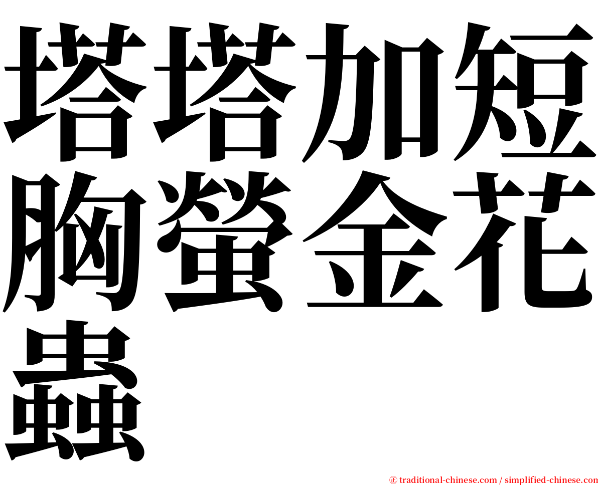 塔塔加短胸螢金花蟲 serif font