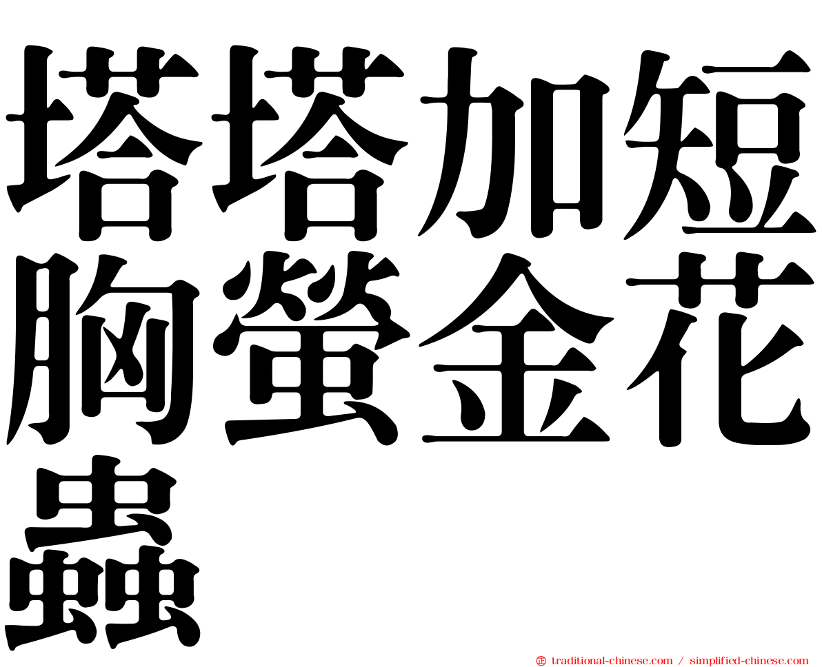 塔塔加短胸螢金花蟲