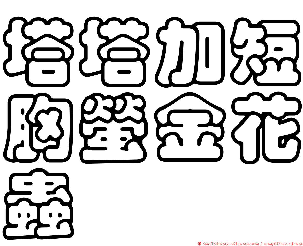 塔塔加短胸螢金花蟲