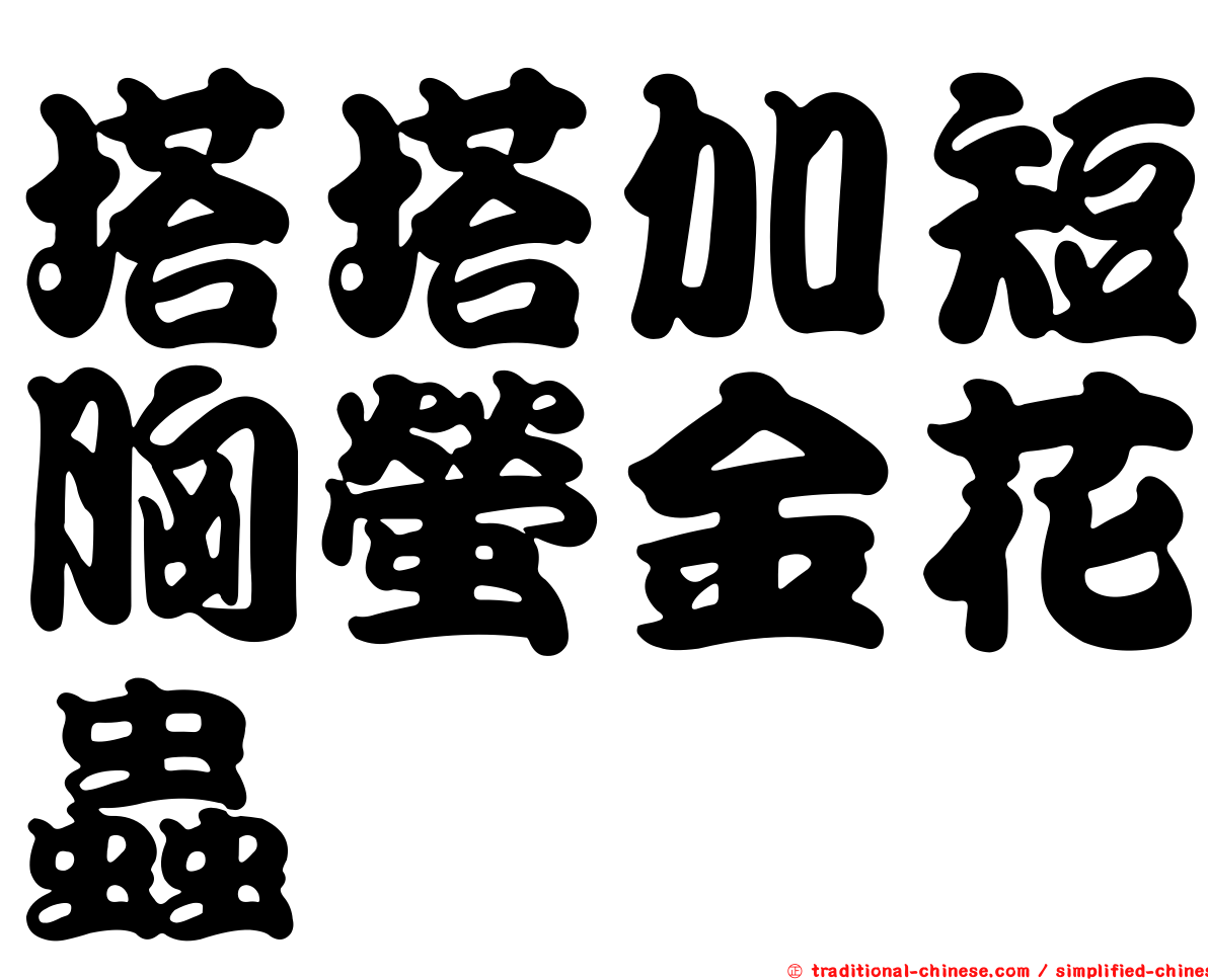 塔塔加短胸螢金花蟲