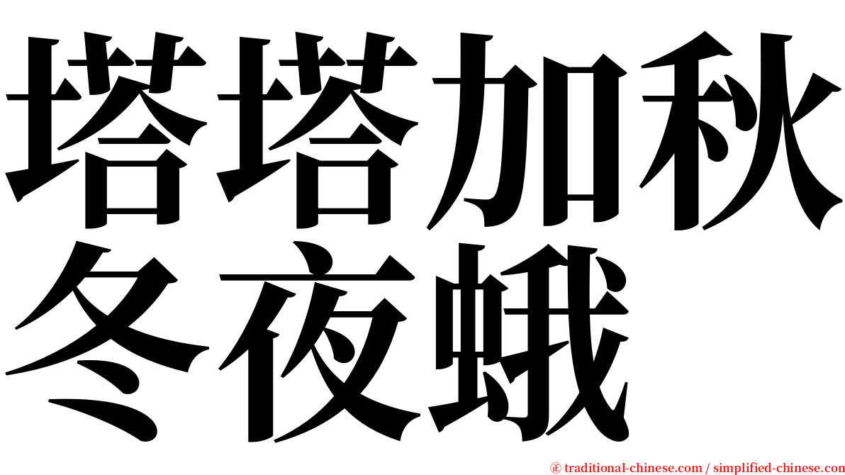 塔塔加秋冬夜蛾 serif font