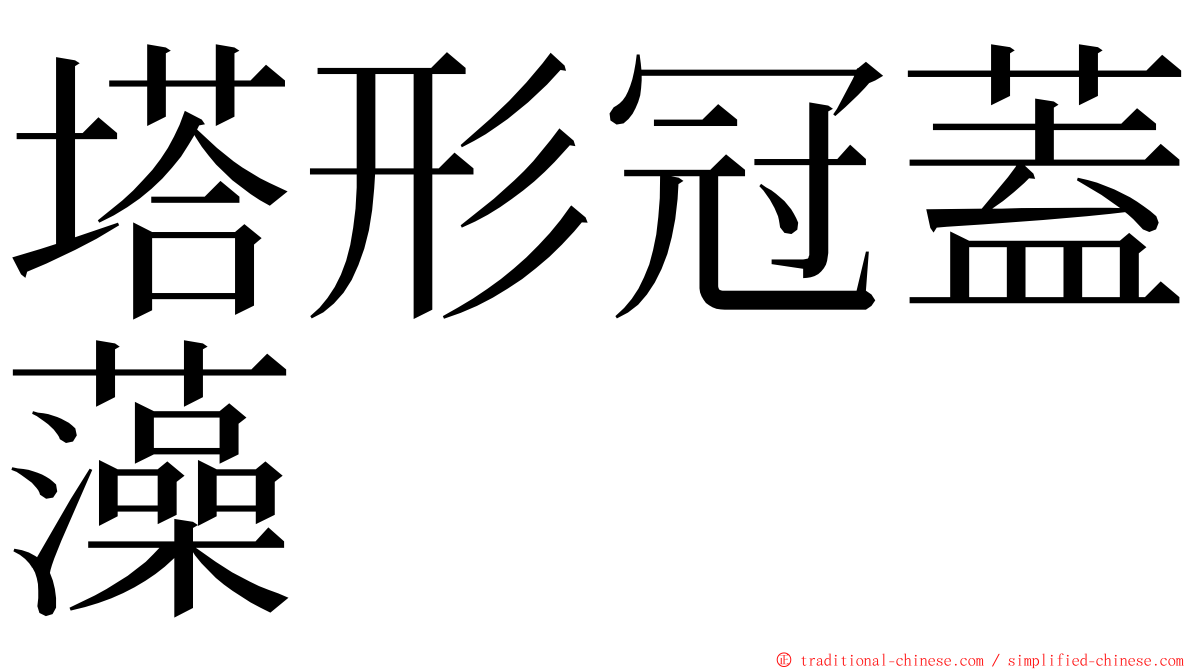 塔形冠蓋藻 ming font