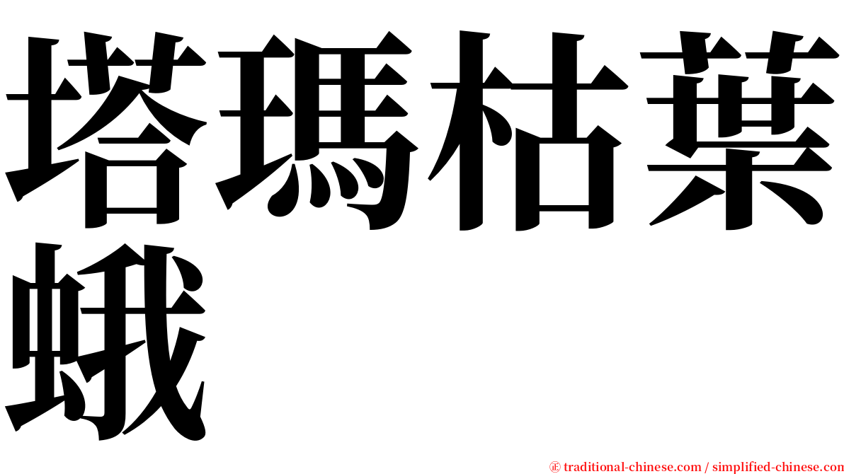 塔瑪枯葉蛾 serif font