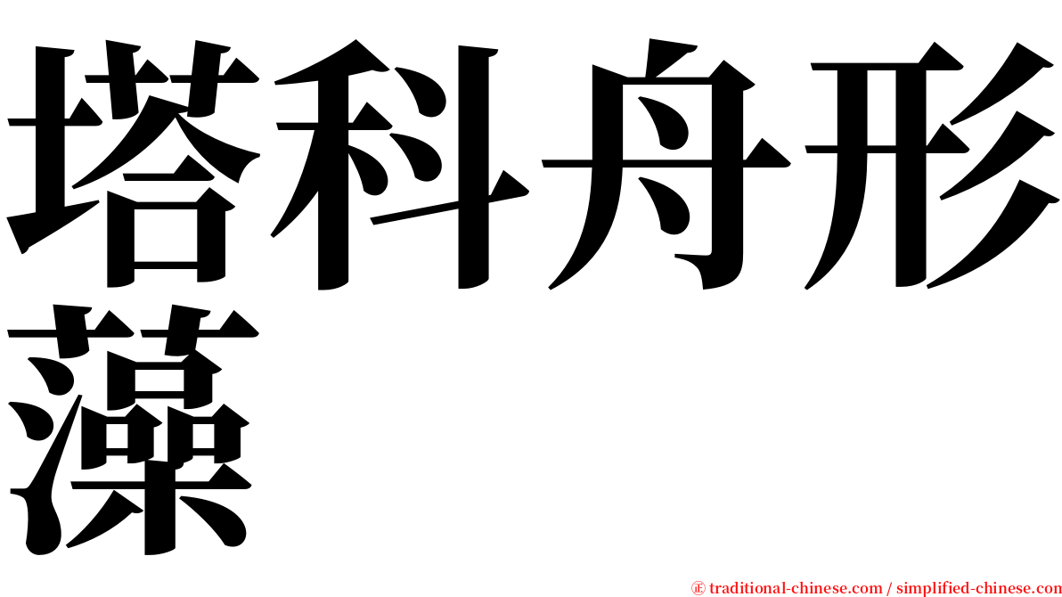 塔科舟形藻 serif font