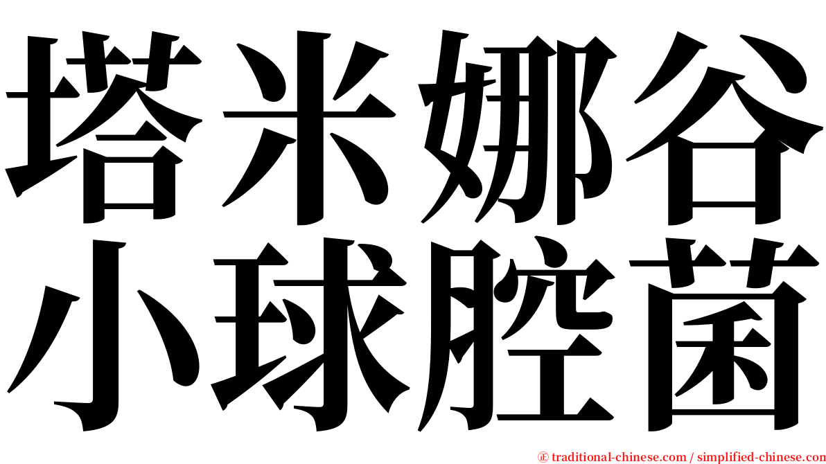 塔米娜谷小球腔菌 serif font
