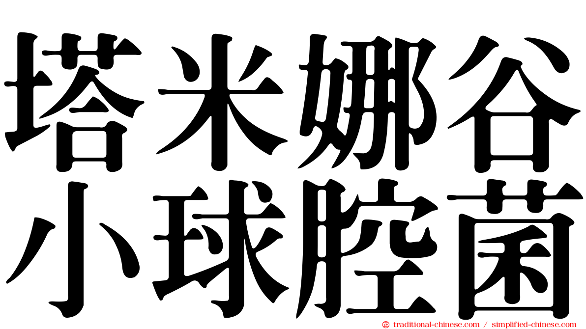 塔米娜谷小球腔菌