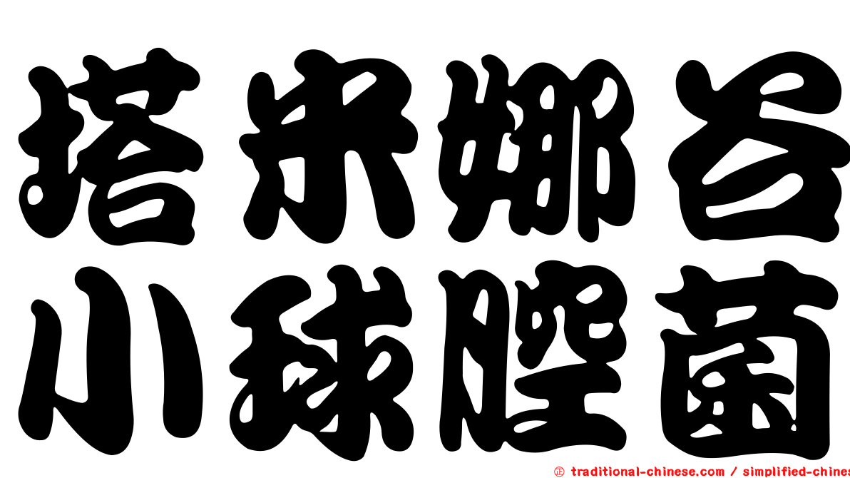 塔米娜谷小球腔菌