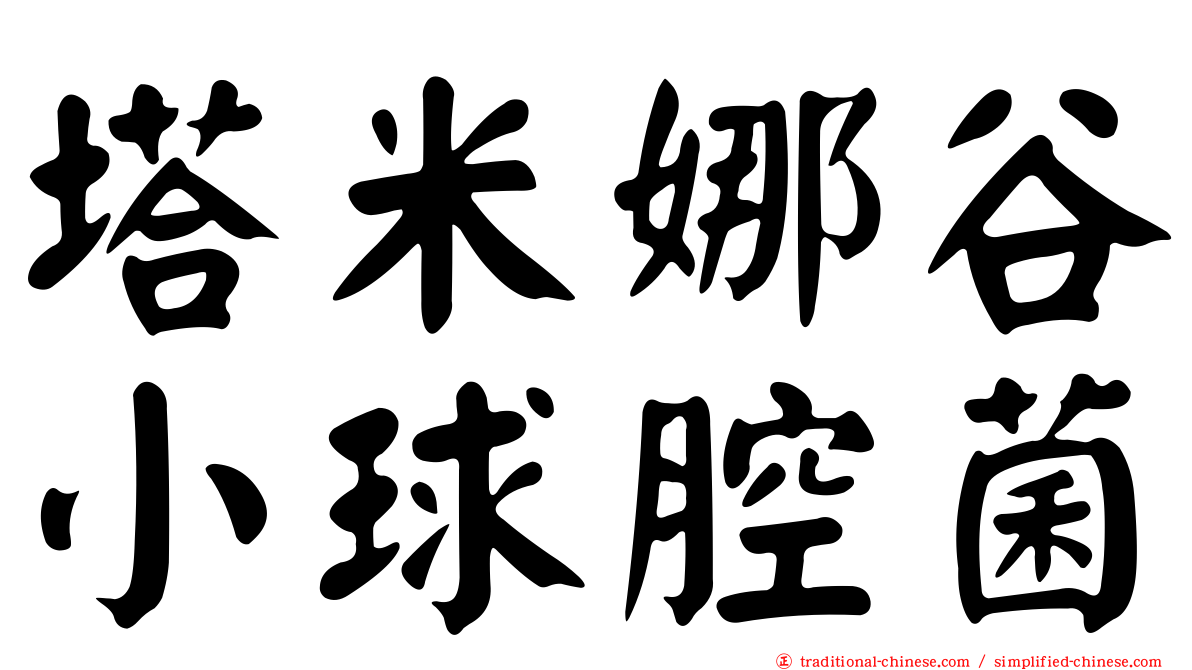塔米娜谷小球腔菌