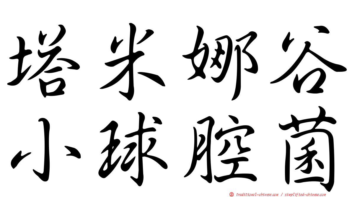 塔米娜谷小球腔菌