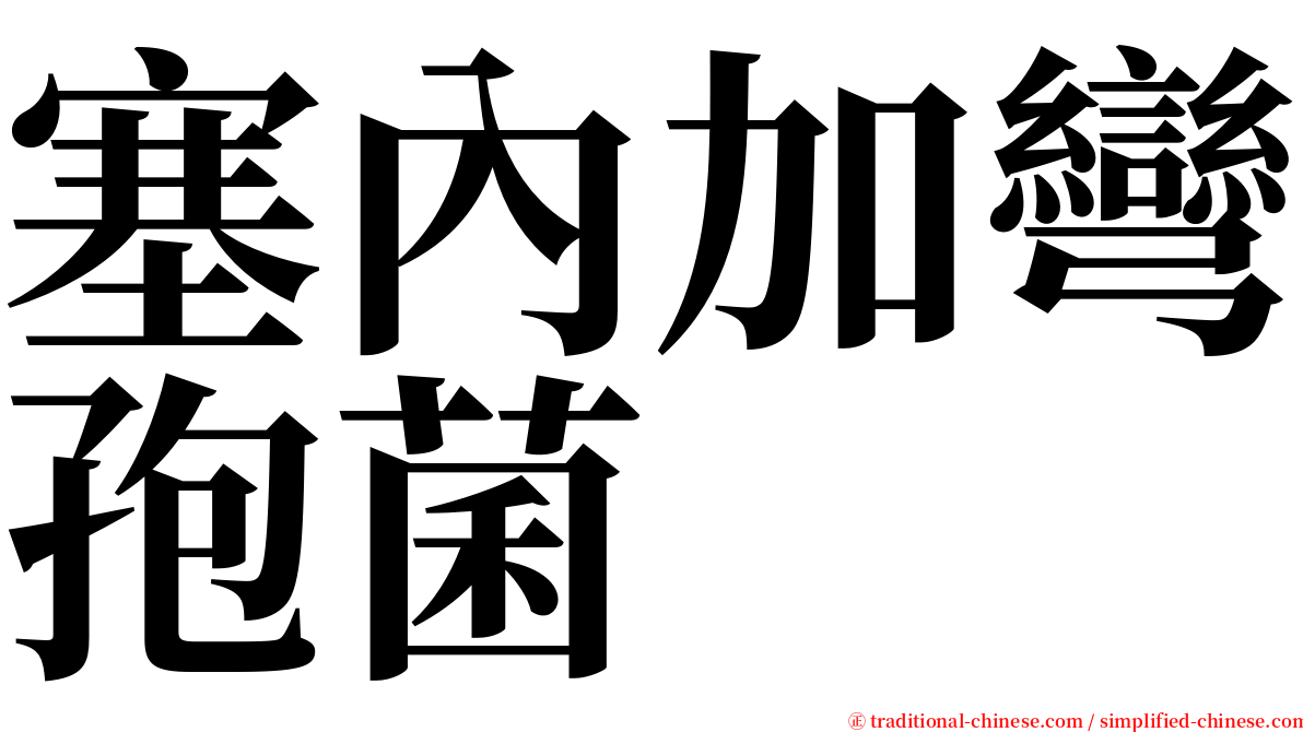 塞內加彎孢菌 serif font