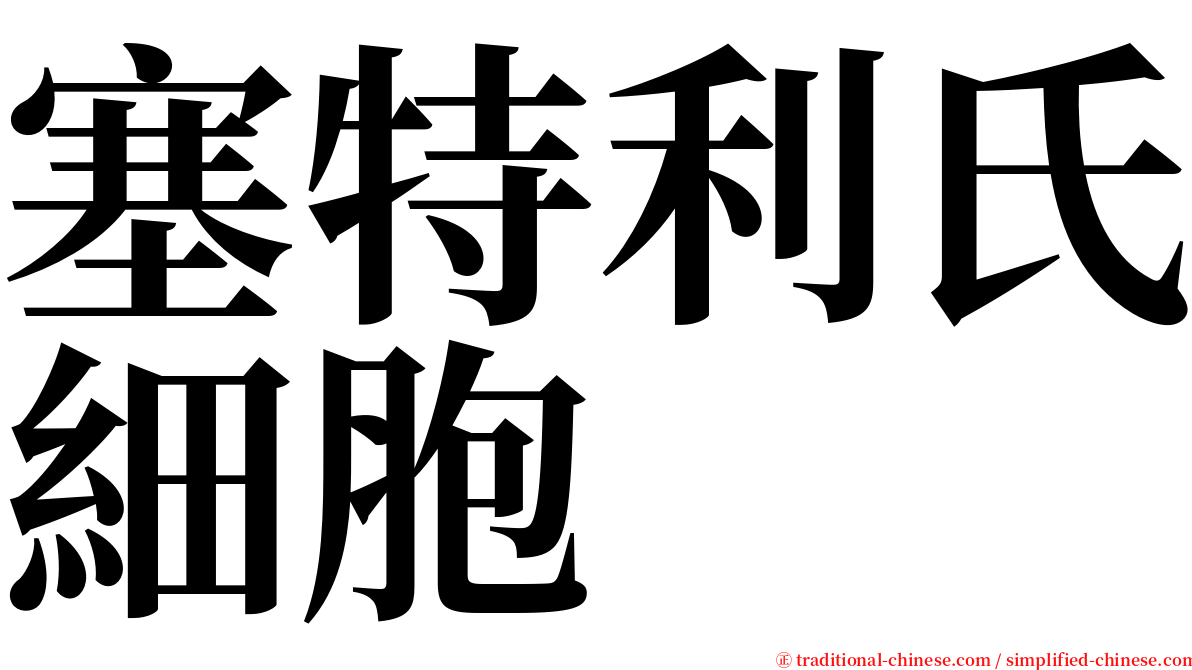 塞特利氏細胞 serif font