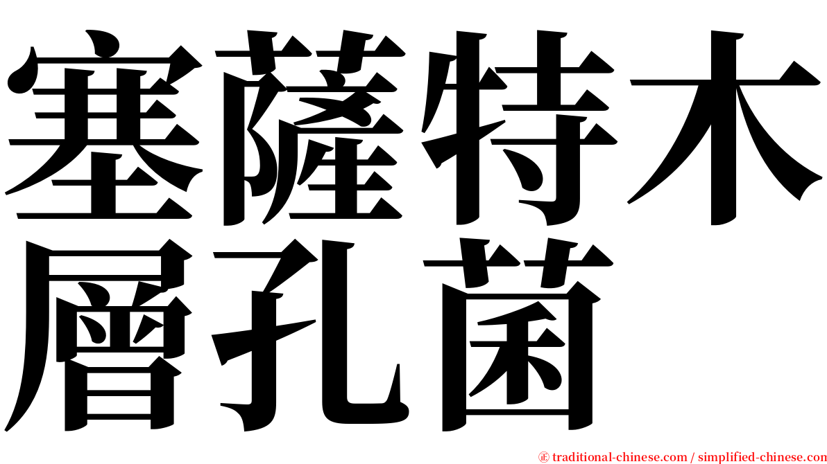 塞薩特木層孔菌 serif font