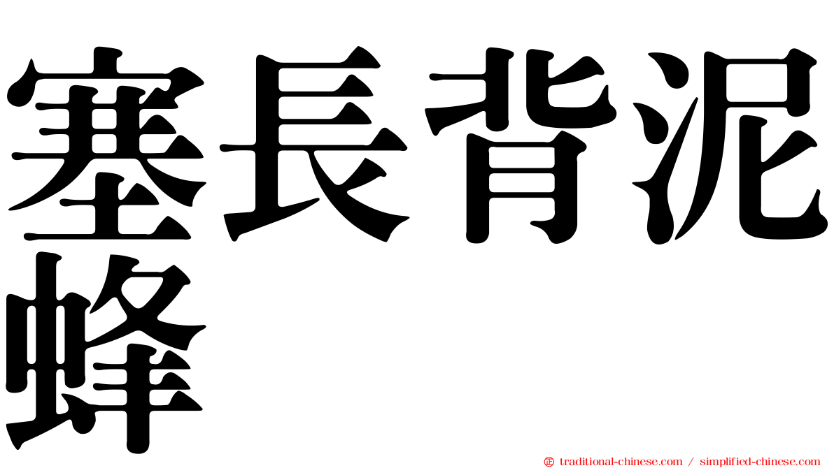 塞長背泥蜂