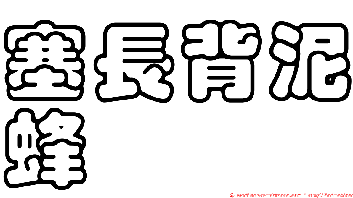 塞長背泥蜂
