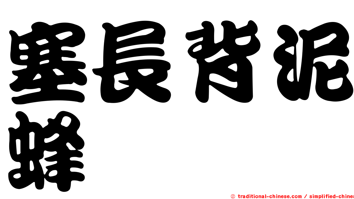 塞長背泥蜂