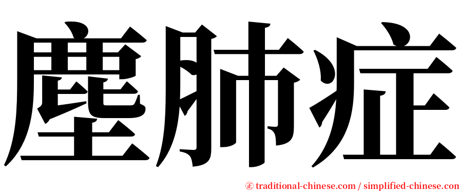 塵肺症 serif font