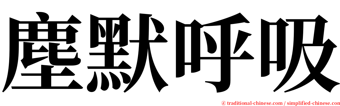 塵默呼吸 serif font