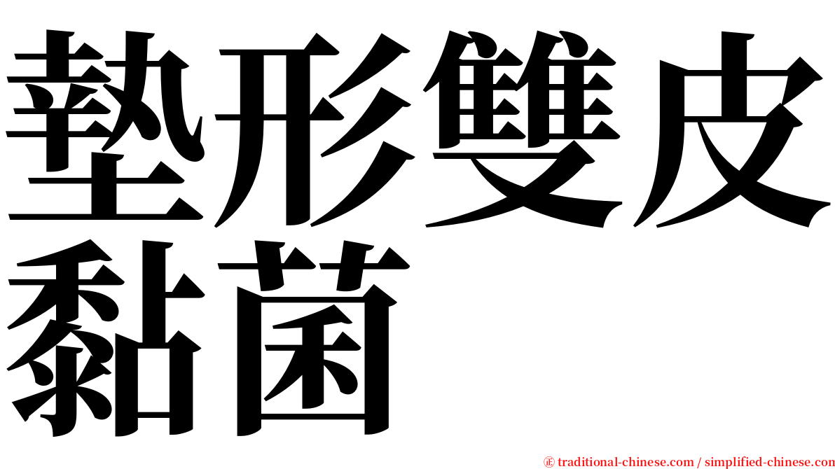 墊形雙皮黏菌 serif font