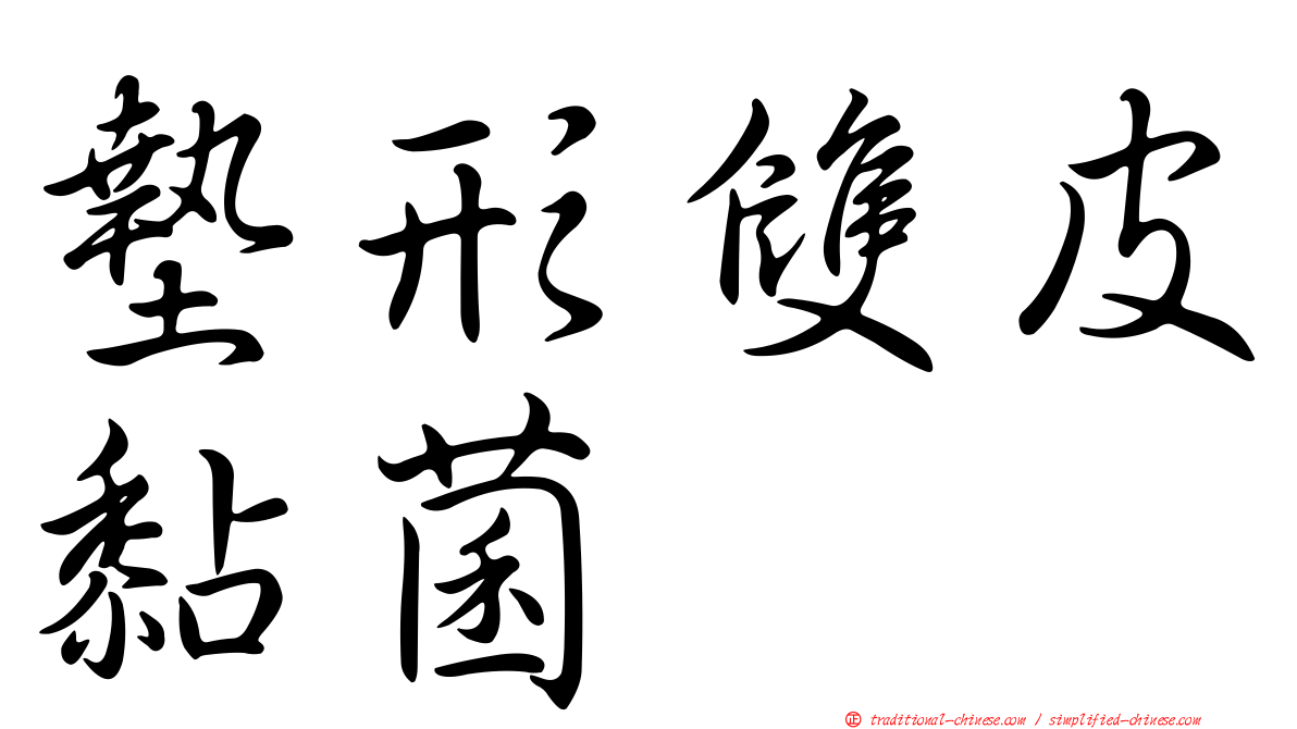 墊形雙皮黏菌