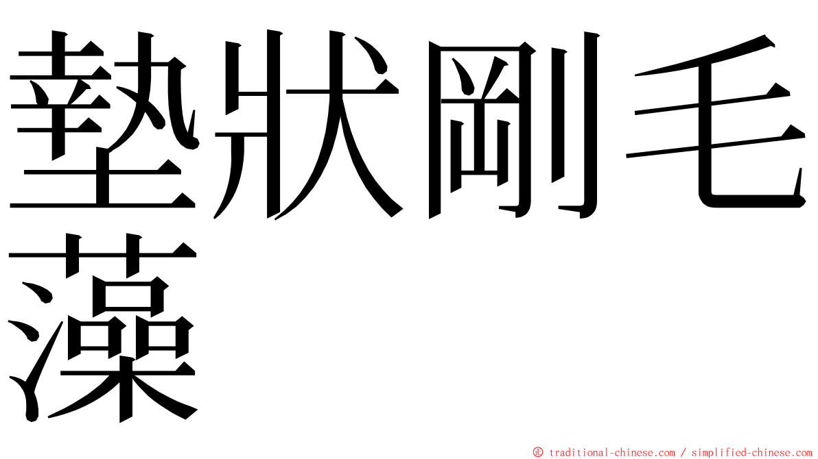 墊狀剛毛藻 ming font