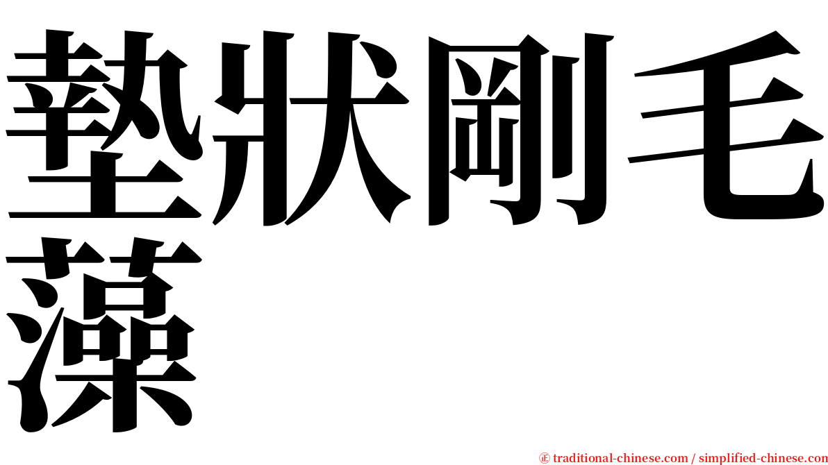 墊狀剛毛藻 serif font