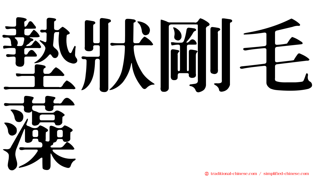 墊狀剛毛藻