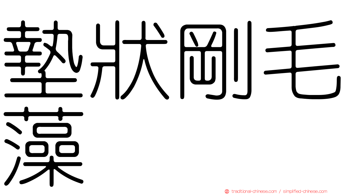 墊狀剛毛藻
