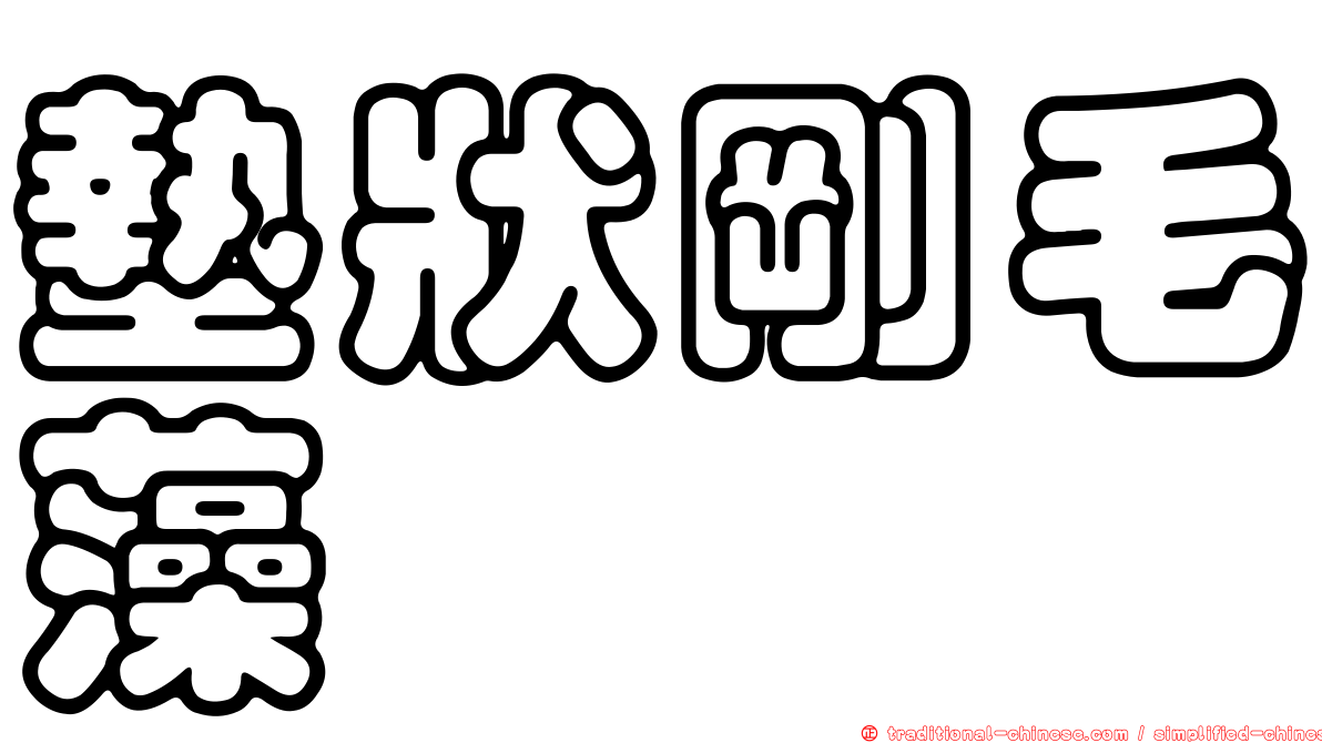 墊狀剛毛藻