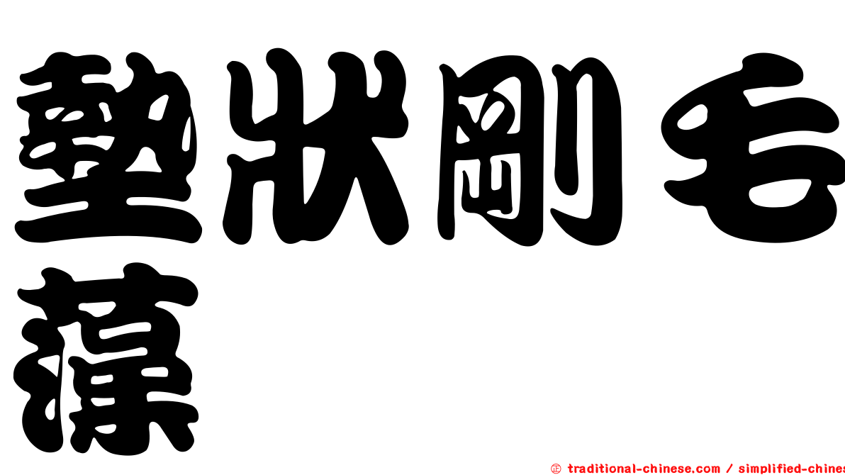 墊狀剛毛藻