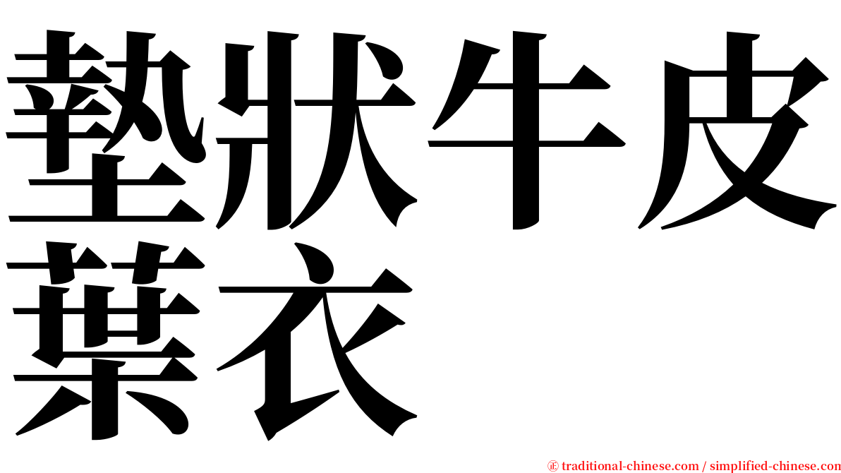 墊狀牛皮葉衣 serif font