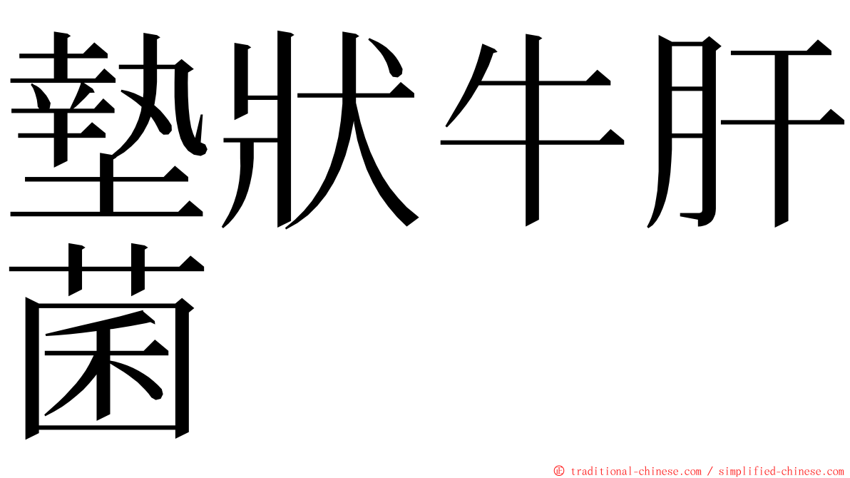 墊狀牛肝菌 ming font