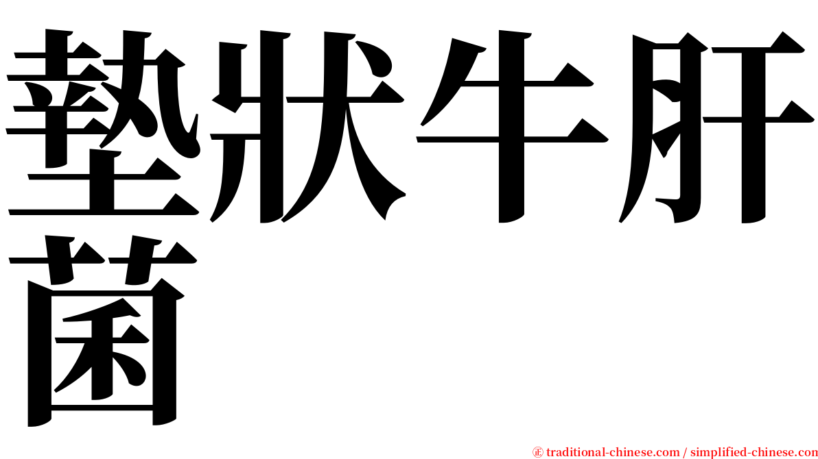 墊狀牛肝菌 serif font