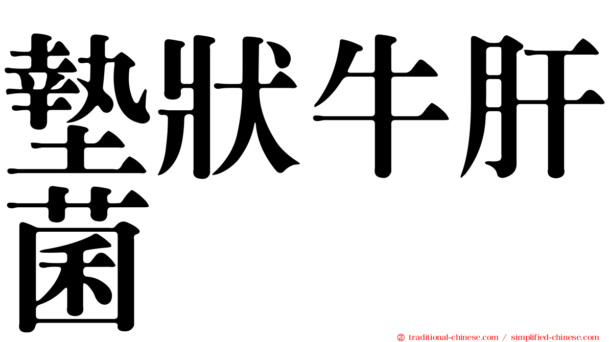 墊狀牛肝菌