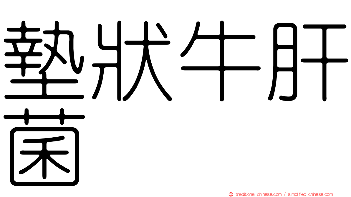 墊狀牛肝菌
