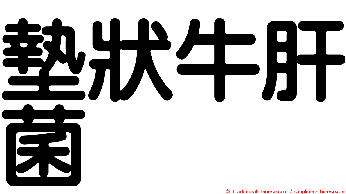 墊狀牛肝菌