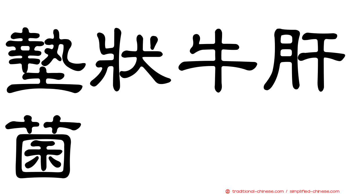 墊狀牛肝菌