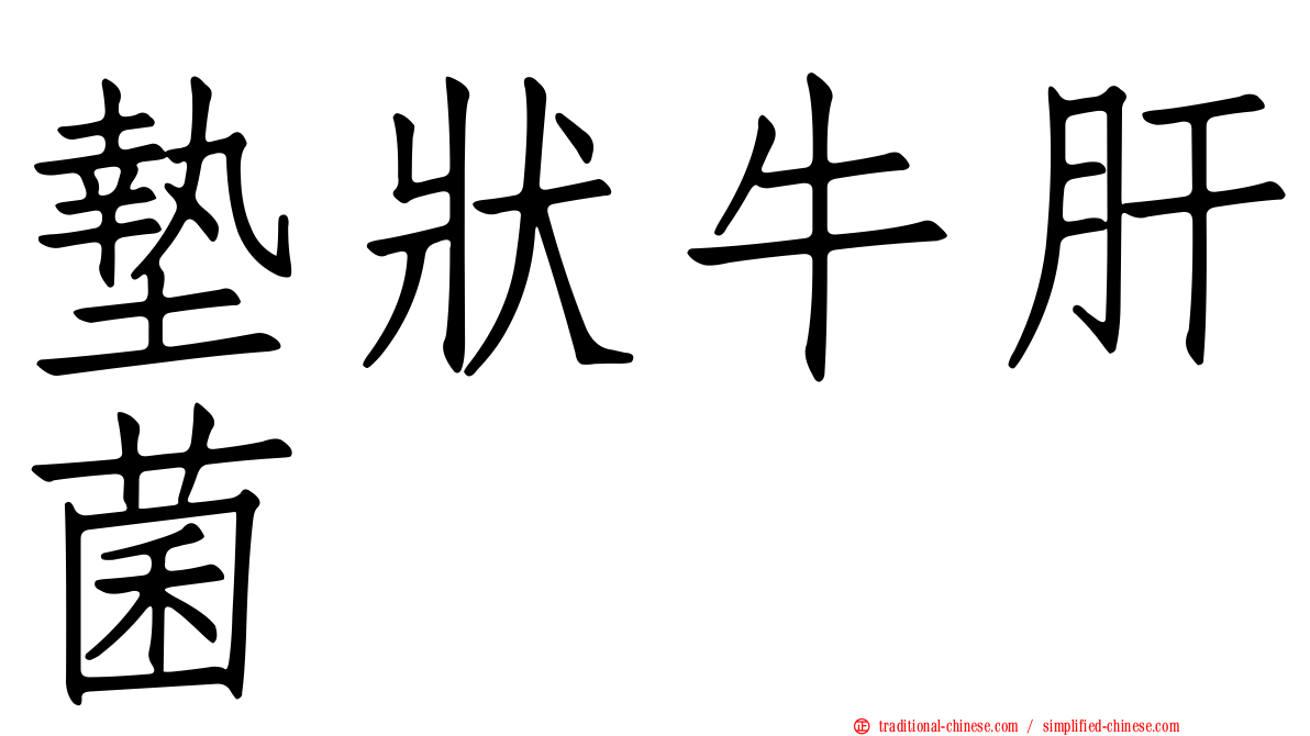 墊狀牛肝菌