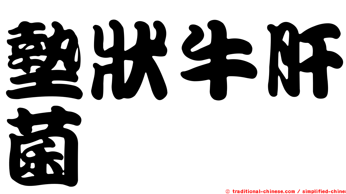 墊狀牛肝菌