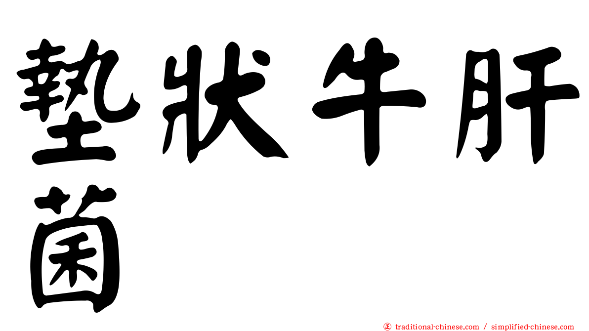 墊狀牛肝菌