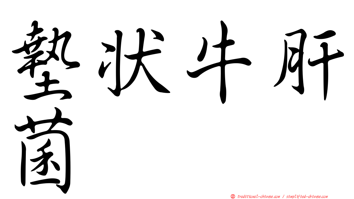 墊狀牛肝菌