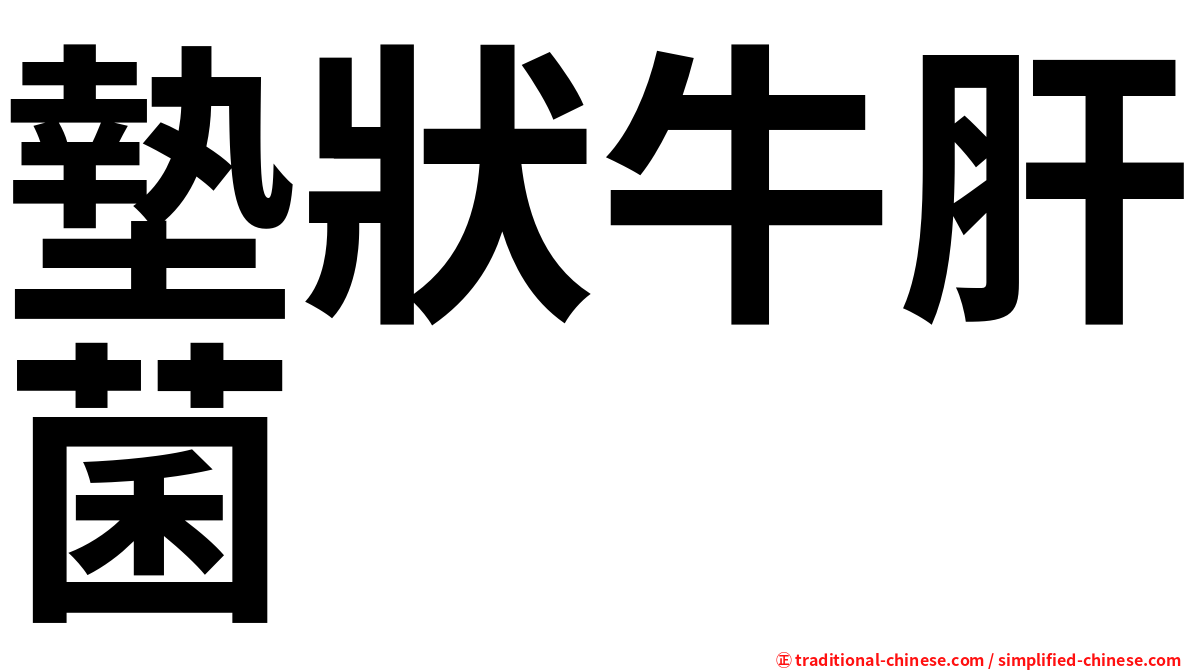 墊狀牛肝菌