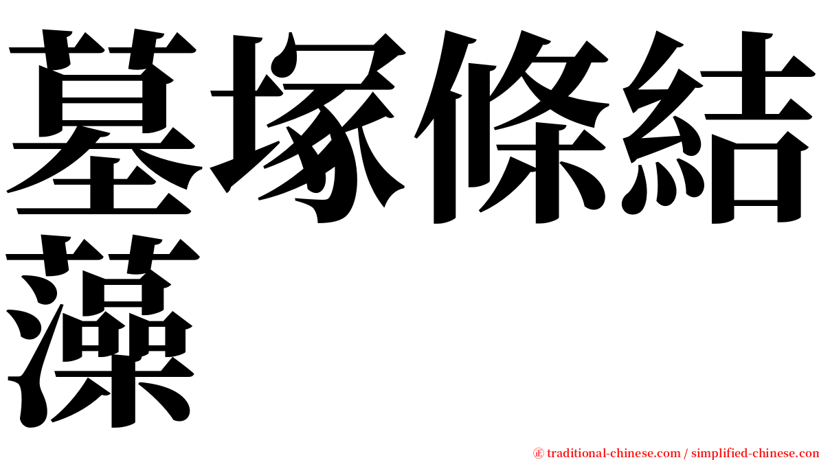 墓塚條結藻 serif font