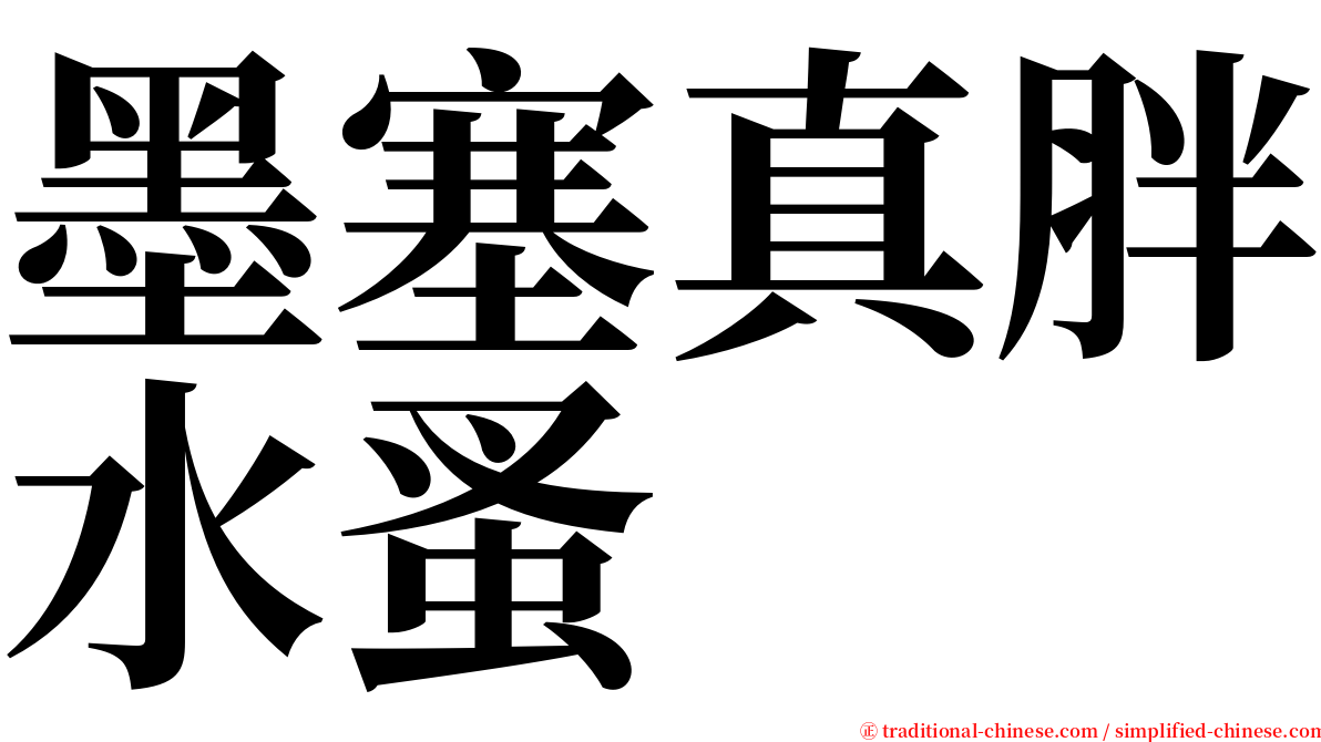 墨塞真胖水蚤 serif font